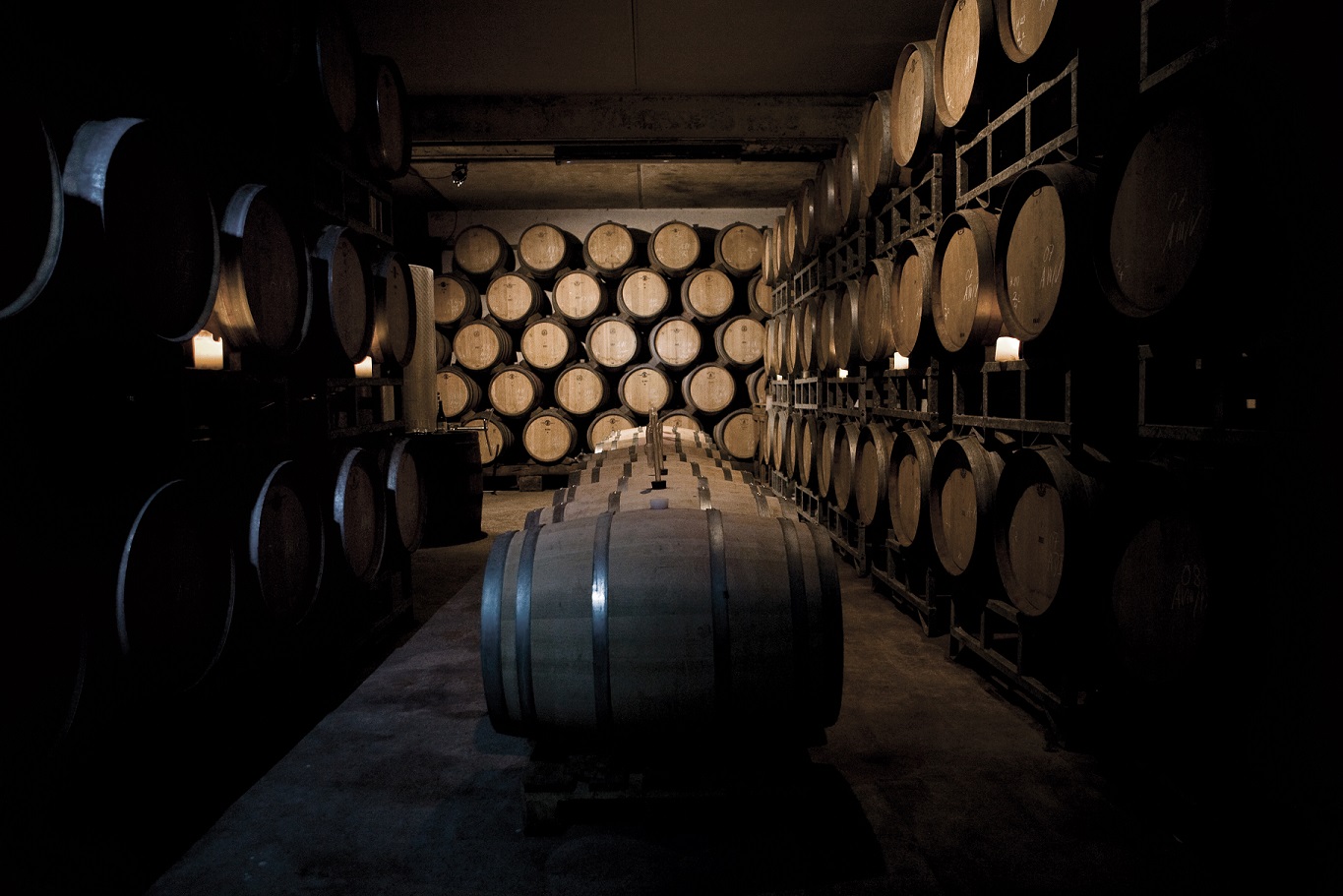 Altstadtflair und Winzerkunst - Endinger Gässliführung und Weinprobe im Weingut Knab