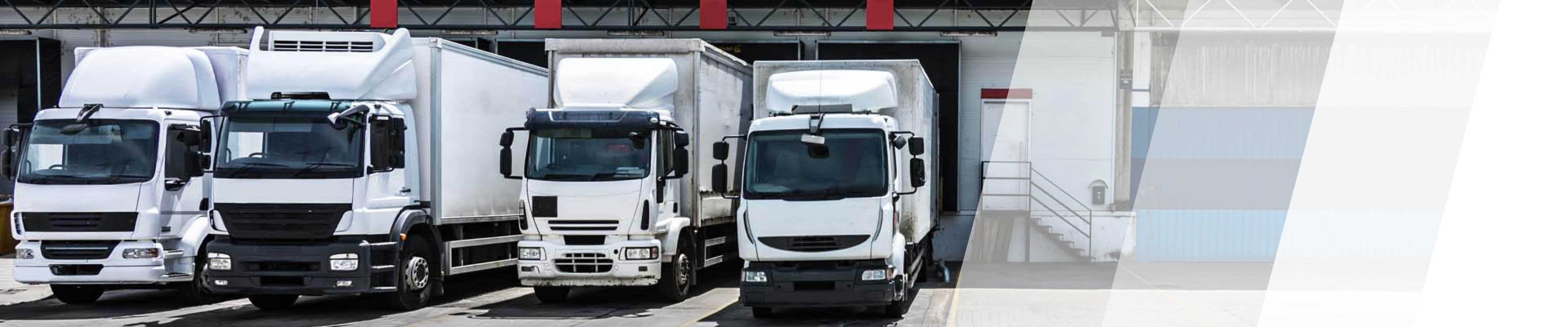 Eignungsuntersuchung für Berufskraftfahrer nach FeV Anlagen 5 & 6