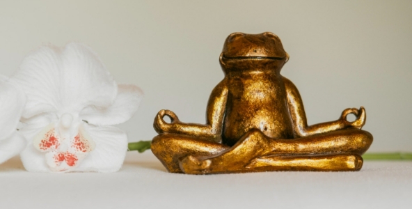 Yogakurse