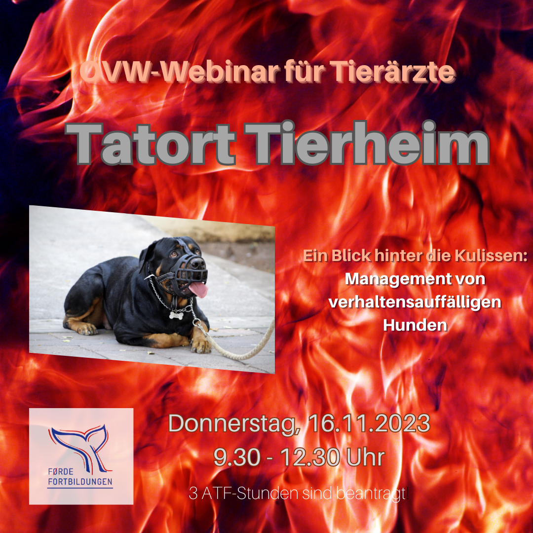 Tatort Tierheim - Ein Blick hinter die Kulissen: Management von verhaltensauffälligen Hunden