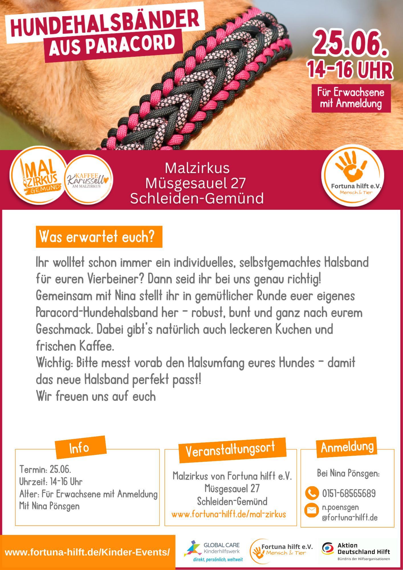 Hundehalsbänder aus Paracourt