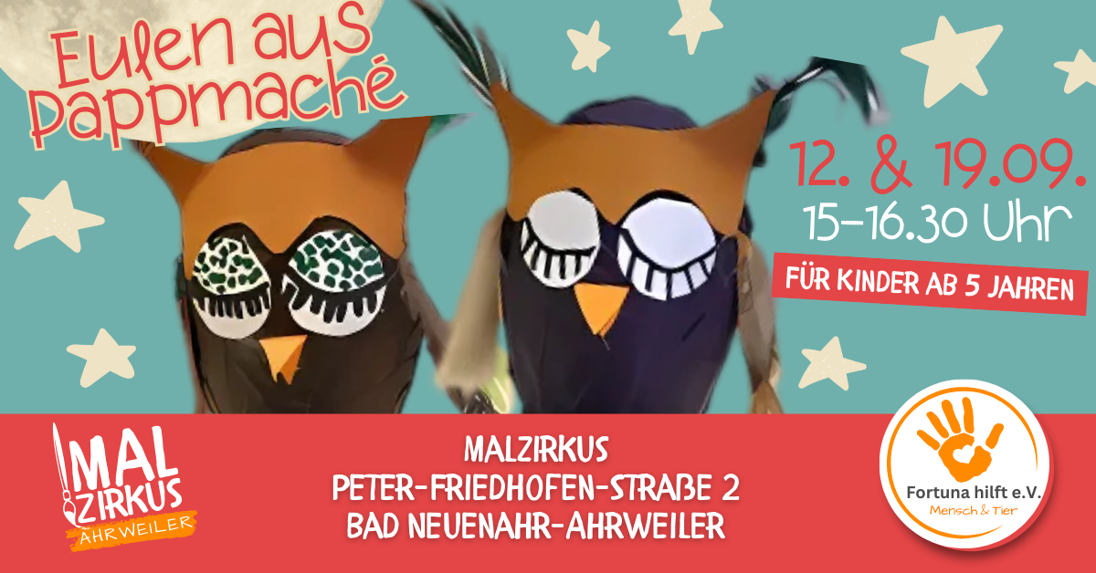 12.09. + 19.09 2 Tage(!) Eulen aus Pappmache ab 5 Jahre