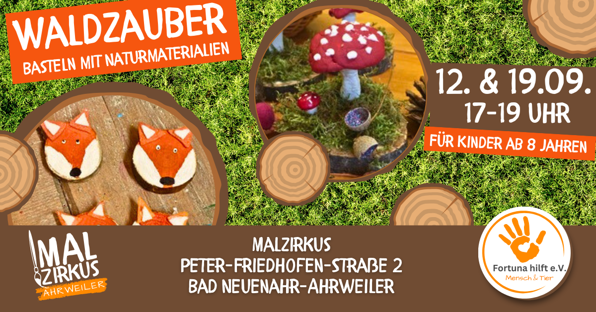 12.09. + 19.09 2 Tage(!) Waldzauber - Kreativ mit Naturmaterialien ab 8 Jahre