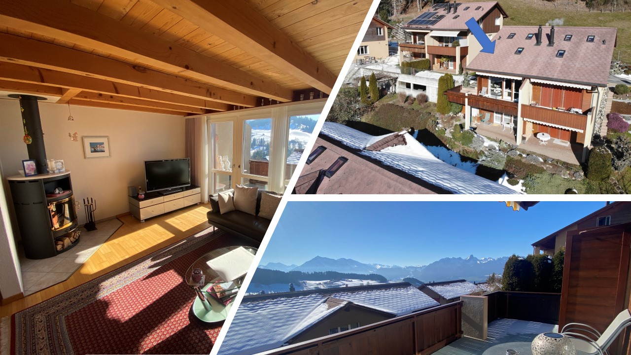 Doppeleinfamilienhaus in Goldiwil