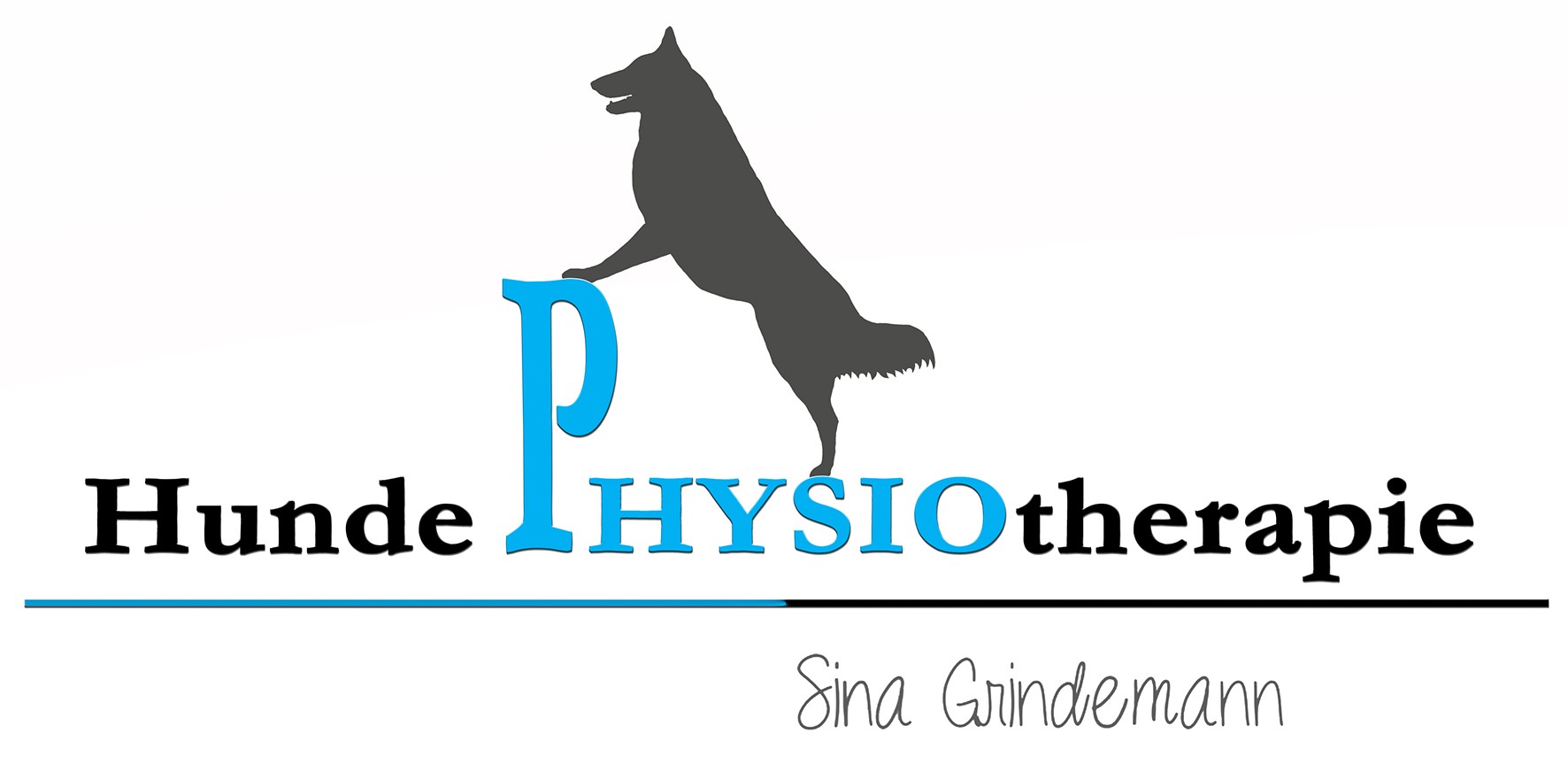 Hundephysiotherapie - Sina Grindemann