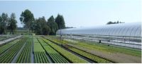 Existenzgründung Produktionsgartenbau und Spezialkulturen