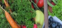 Ernährung, Lebensmittelqualität, Verbraucherinformation