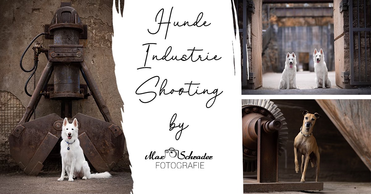 Aktionstage 2026 - Landschaftspark Duisburg-Nord