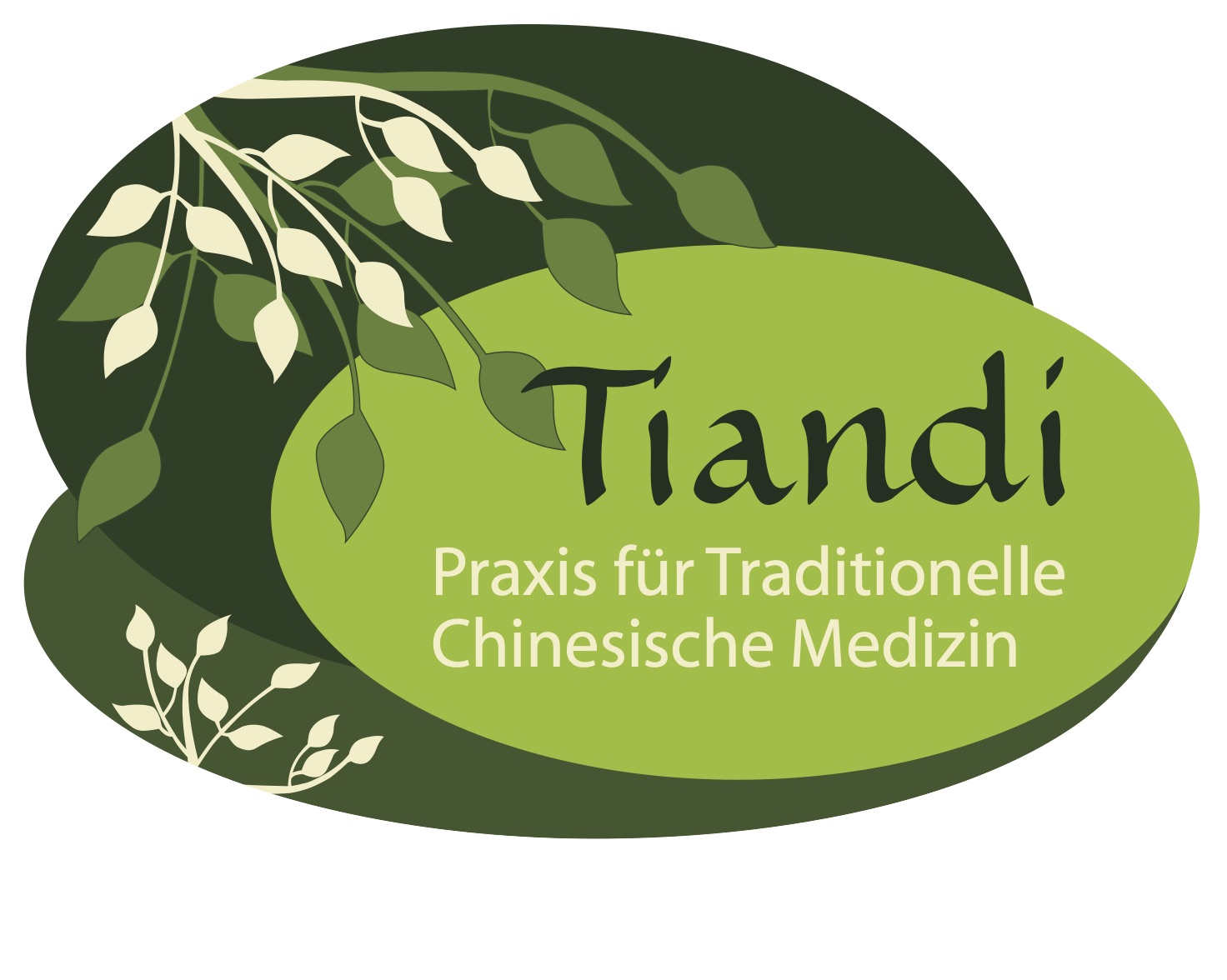 Tiandi Gmbh