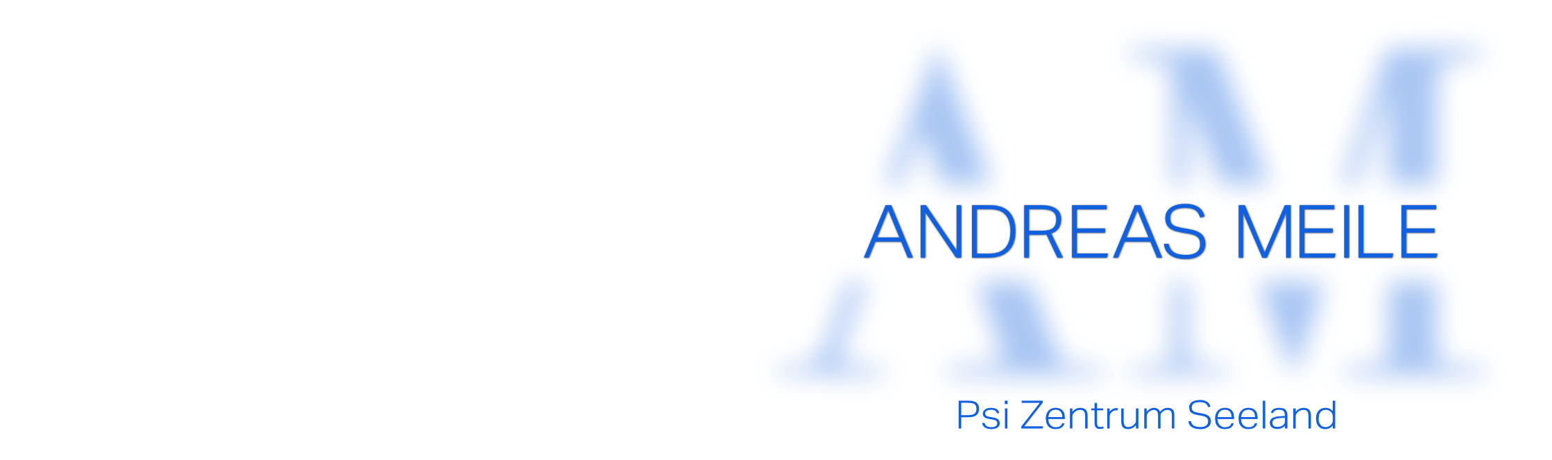 Andreas Meile
