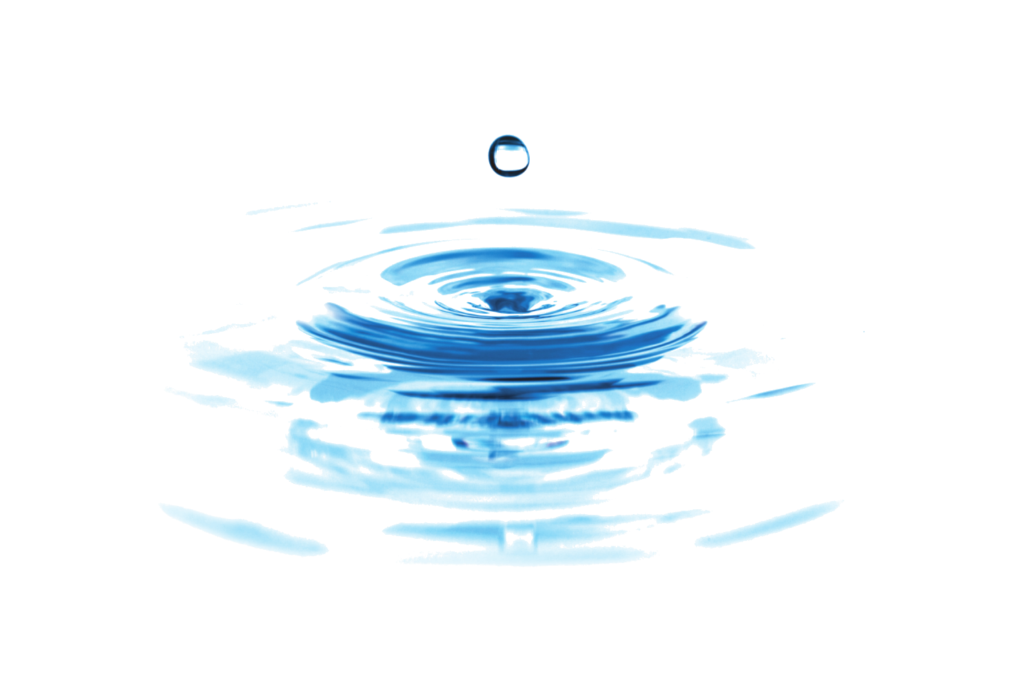 CranioPraxis Plus / Craniosacraltherapie - Supervision - Coaching