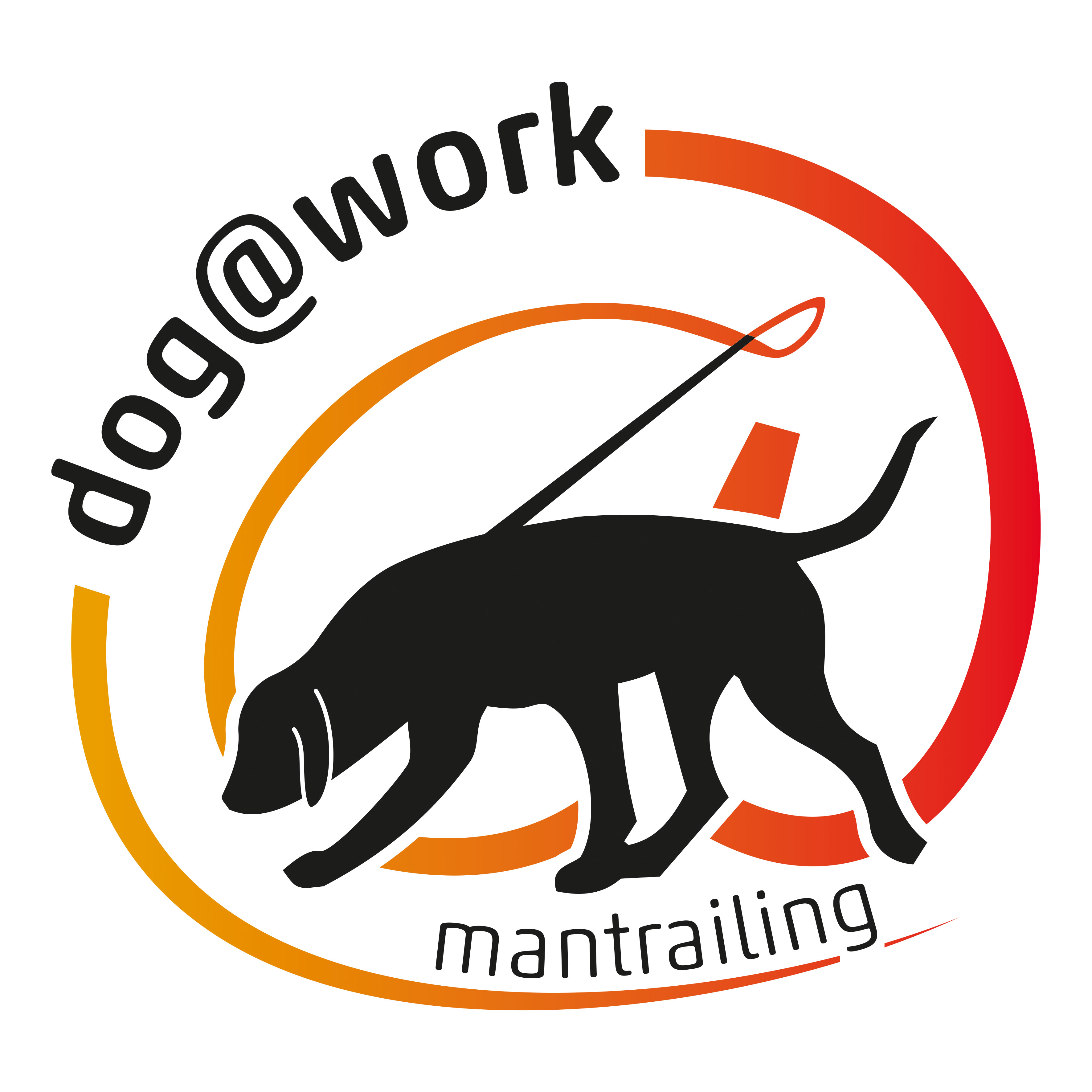 dog@work - mantrailing